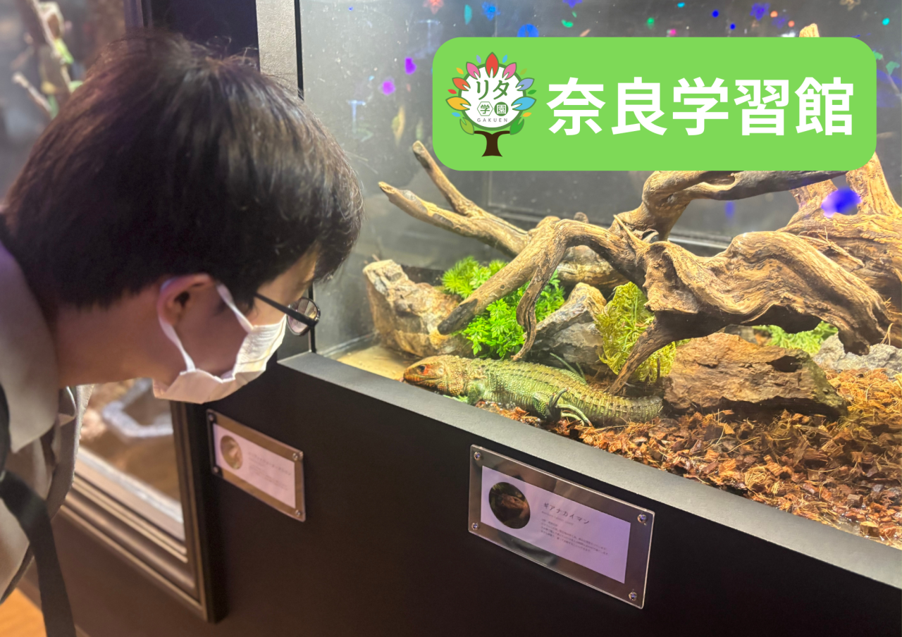 【奈良学習館】校外学習報告！「運動活動＆お仕事フェア」