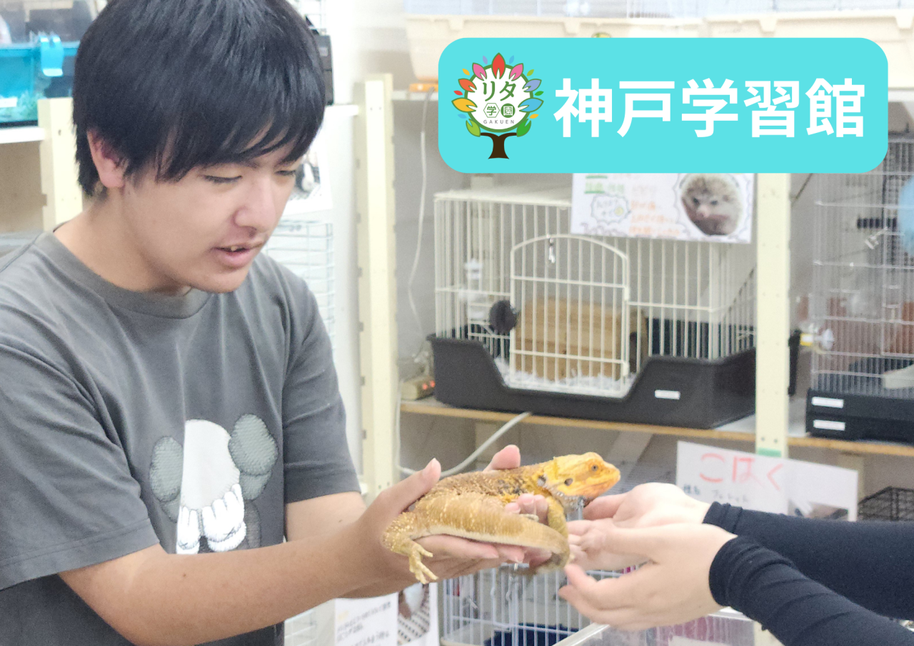 【神戸学習館】キャリア学習~専門学校見学!~